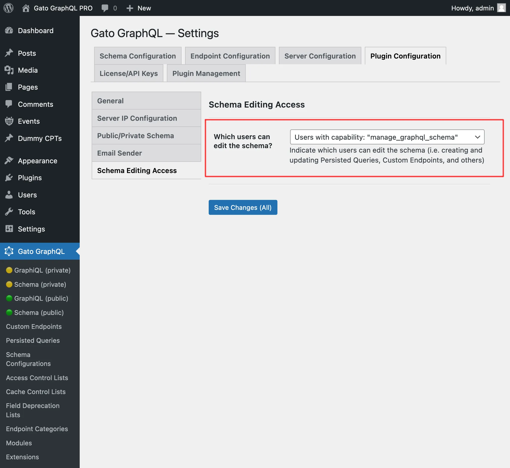 Настройка schema editing access в Settings